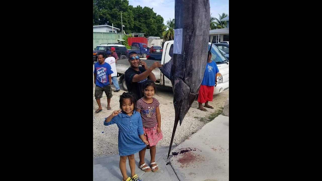Billfish majuro Marshall Islands 2020