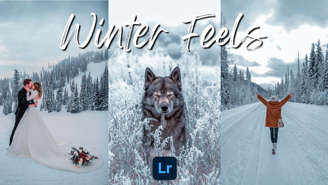 WINTER FEELS - LIGHTROOM MOBILE PRESET | How To Edit Winter Preset | Winter Filter