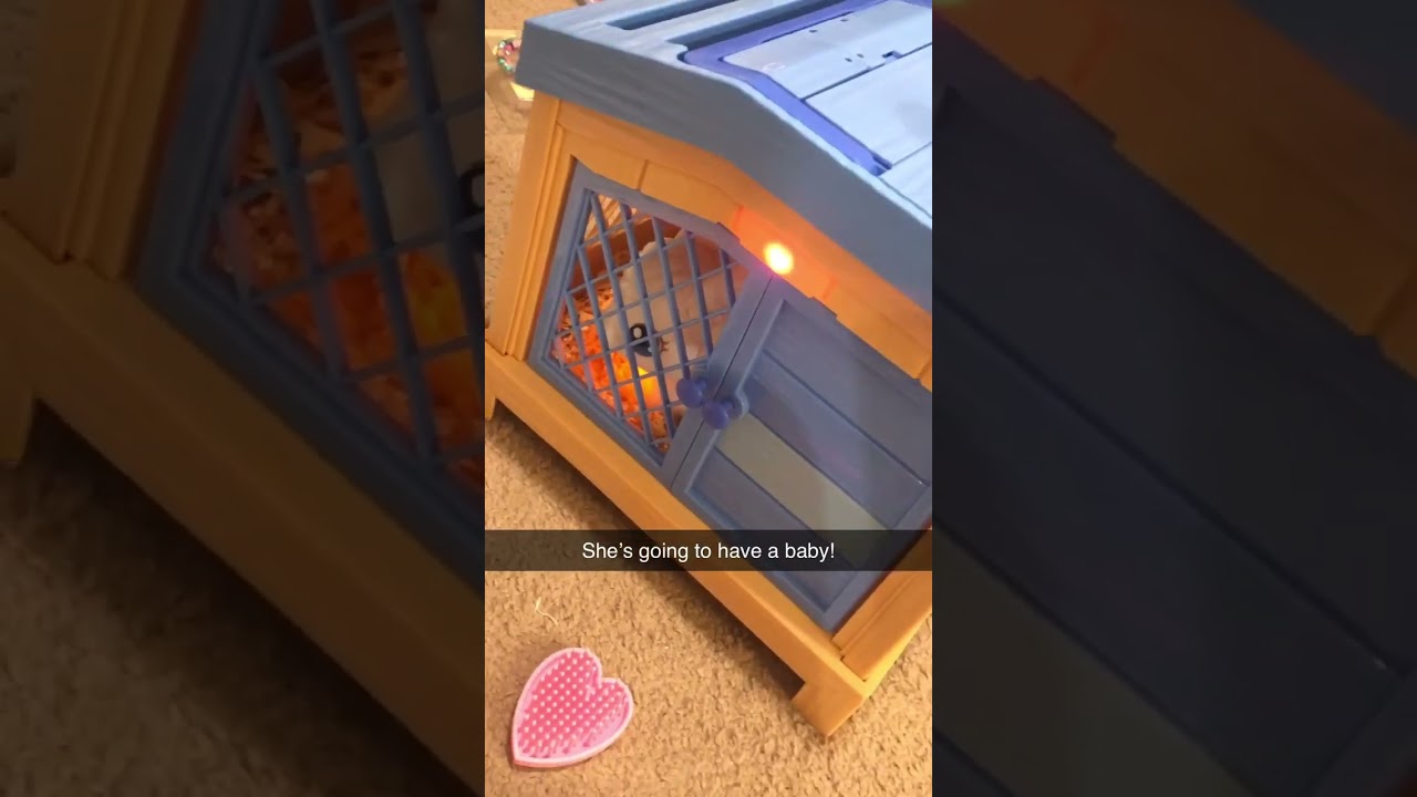 Little Live Pets&hellip; Mama Surprise! #baby #cute #littlelivepets