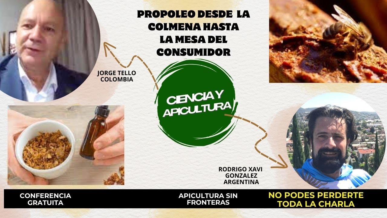 El Propoleo desde la Colmena hasta la Mesa del Consumidor - CIENCIA y APICULTURA
