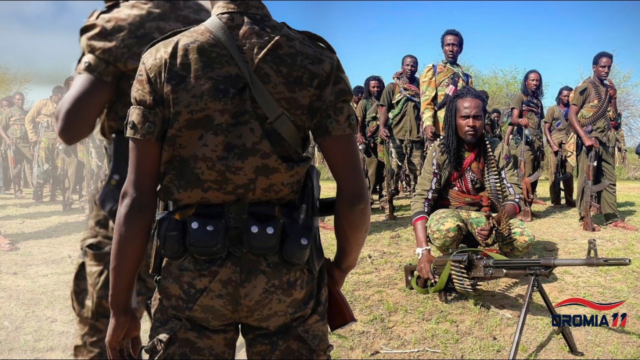 OROMIA11: ሰሞነኛ መረጃ 2-20-2026