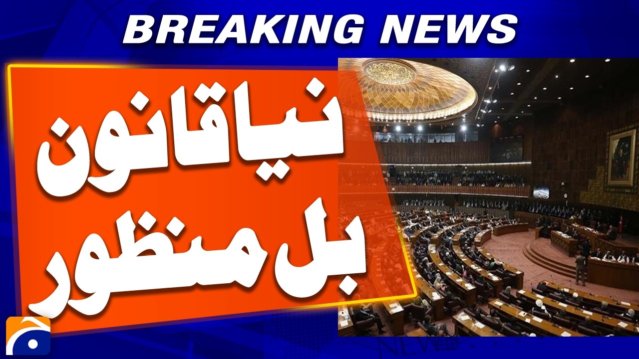 Senate Committee Passes Criminal Law Amendment Bill 2026 Despite Opposition | Breaking News