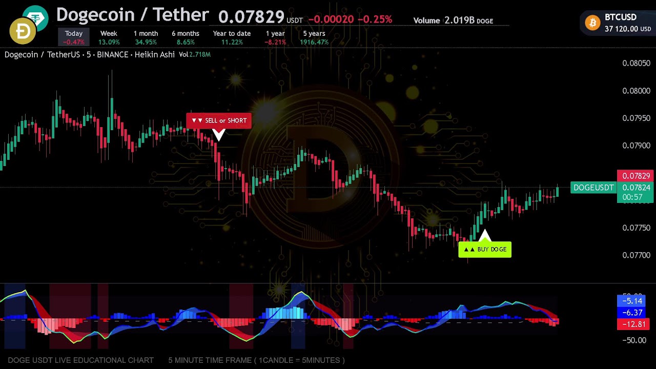 🔴 DOGE DOGECOIN Live Trading Signals DOGEUSDT Best Trading Crypto Strategy