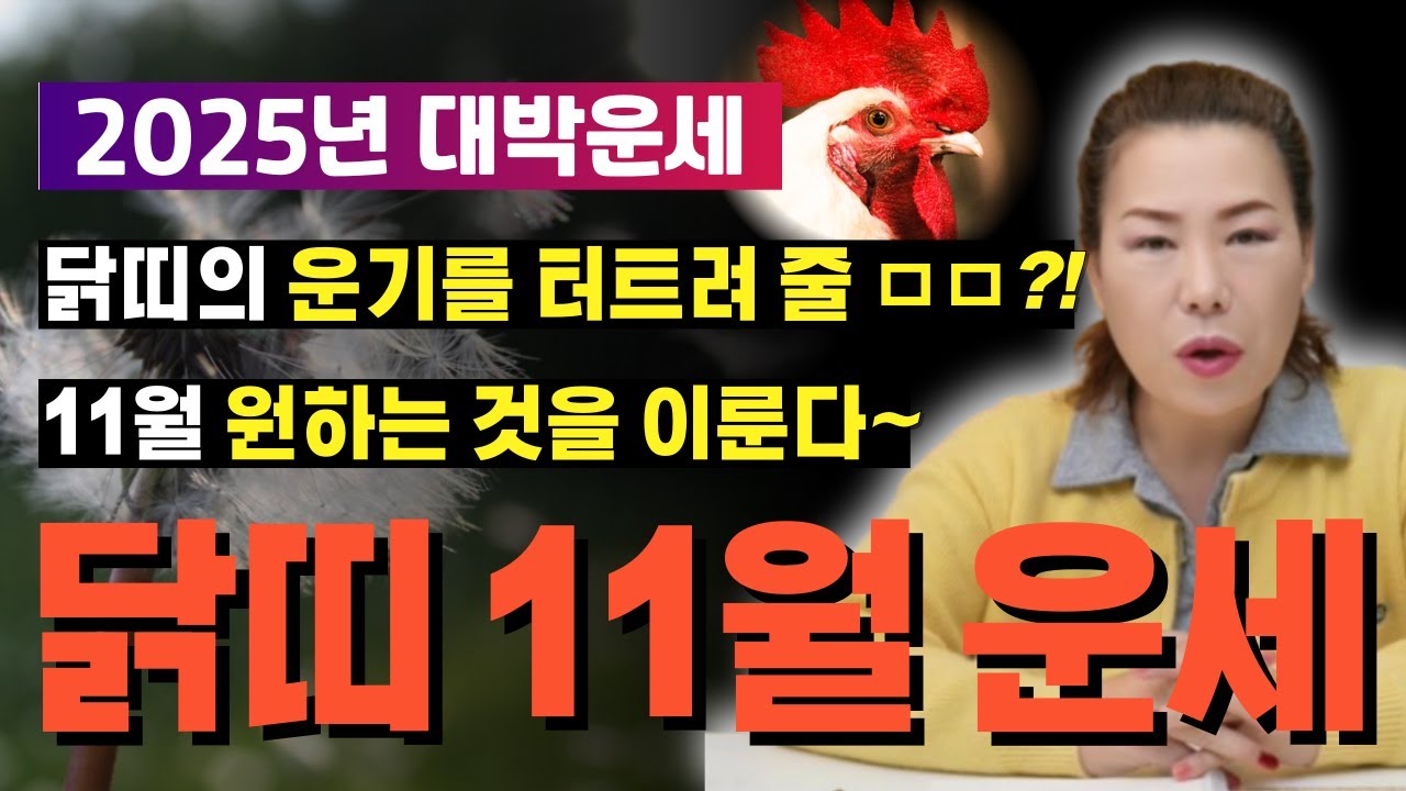 🌟2025년 11월 닭띠운세🌟 을유생, 계유생, 신유생, 기유생, 정유생... 내 운기와의 시너지? [양평용한점집 청화신당]