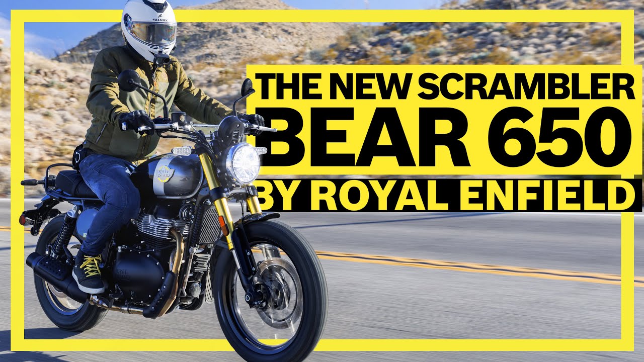 Royal Enfield Bear 650 - DIE neue Scrambler