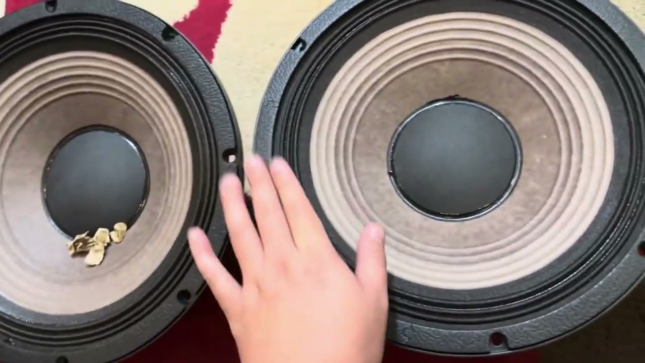 [HOT] Loa Bass 30 NR 12WF336 | Từ 190 Coil 76 | Coil Nh&ocirc;m Dẹt | Gi&aacute; Sỉ Cực Rẻ | Lh Zalo 0988885815