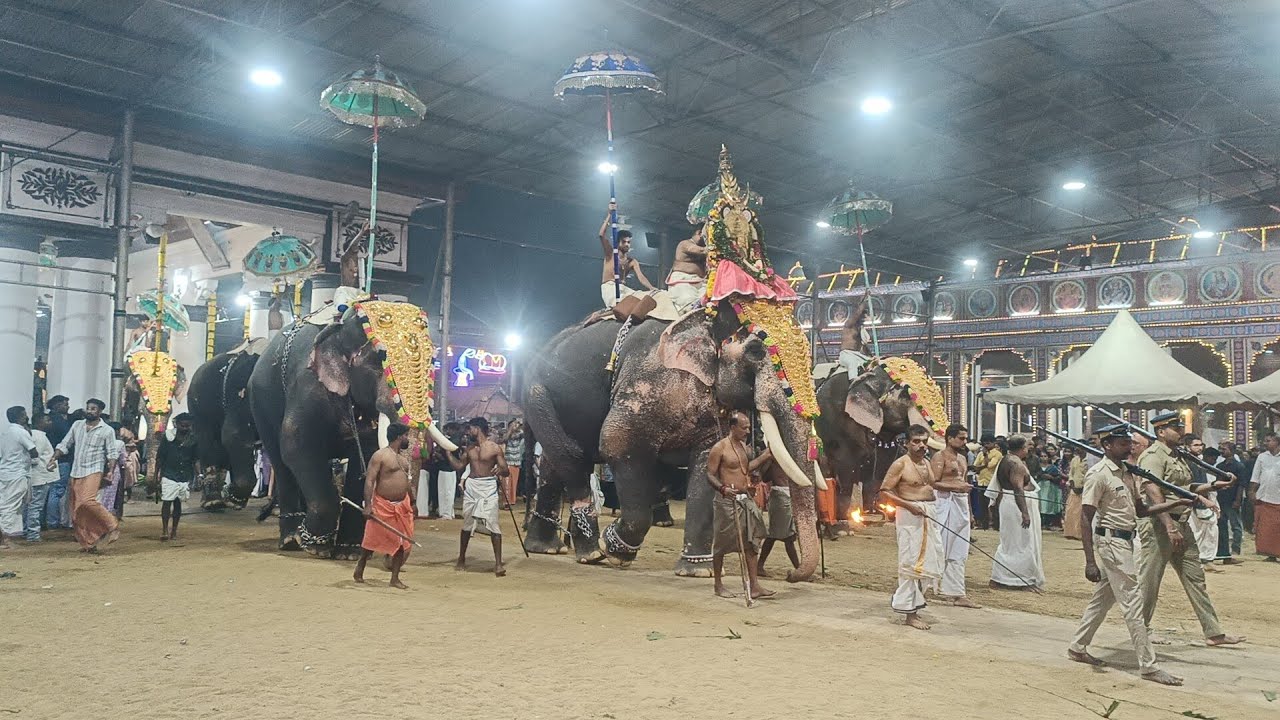 വൈക്യത്തപ്പന്റെ ശീവേലി കാഴ്ചകൾ #dailyvlog #vaikomtemple #villagelife #elephant #templefestival 