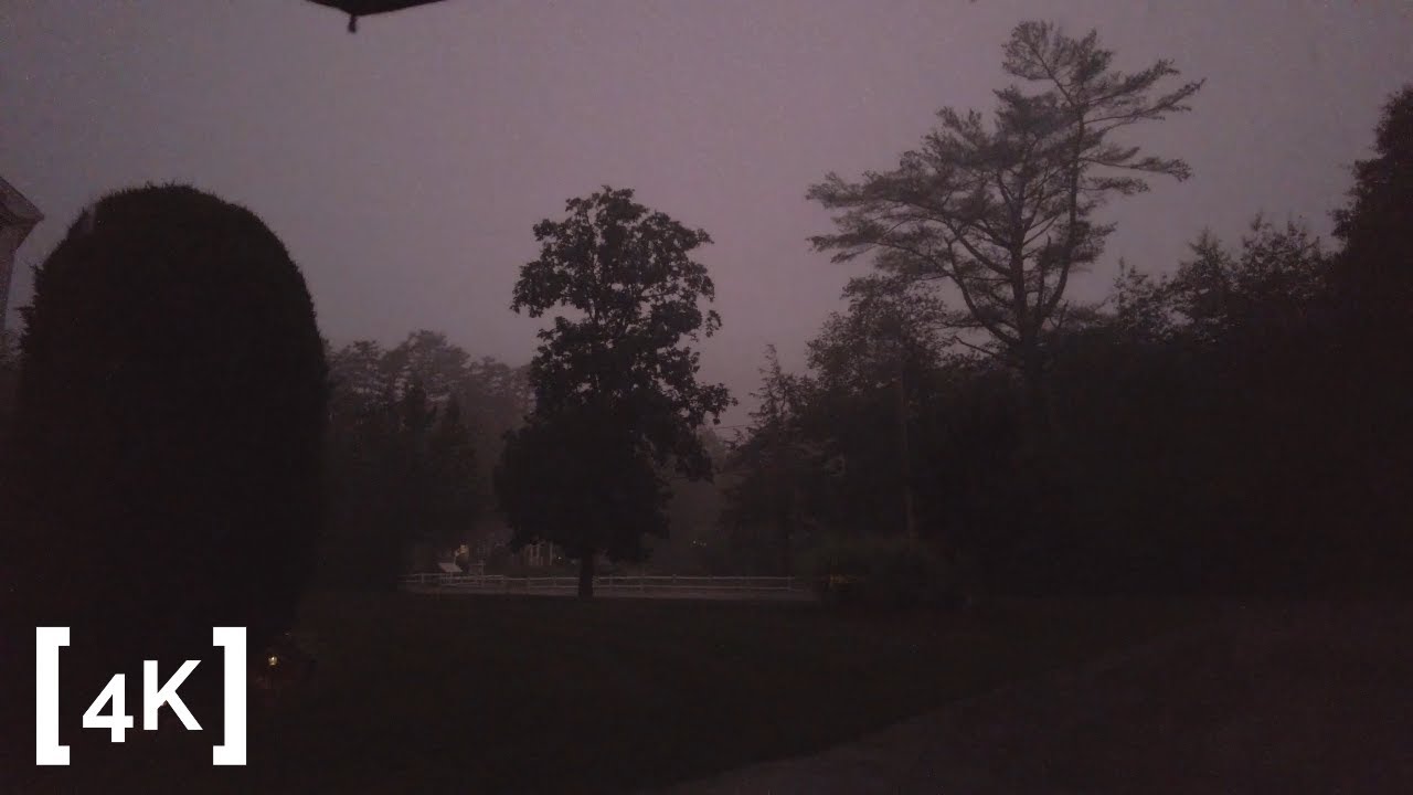 Standing in a Summer Rain Storm | Binaural Rain and Thunder Sounds | 4K ASMR Ambience