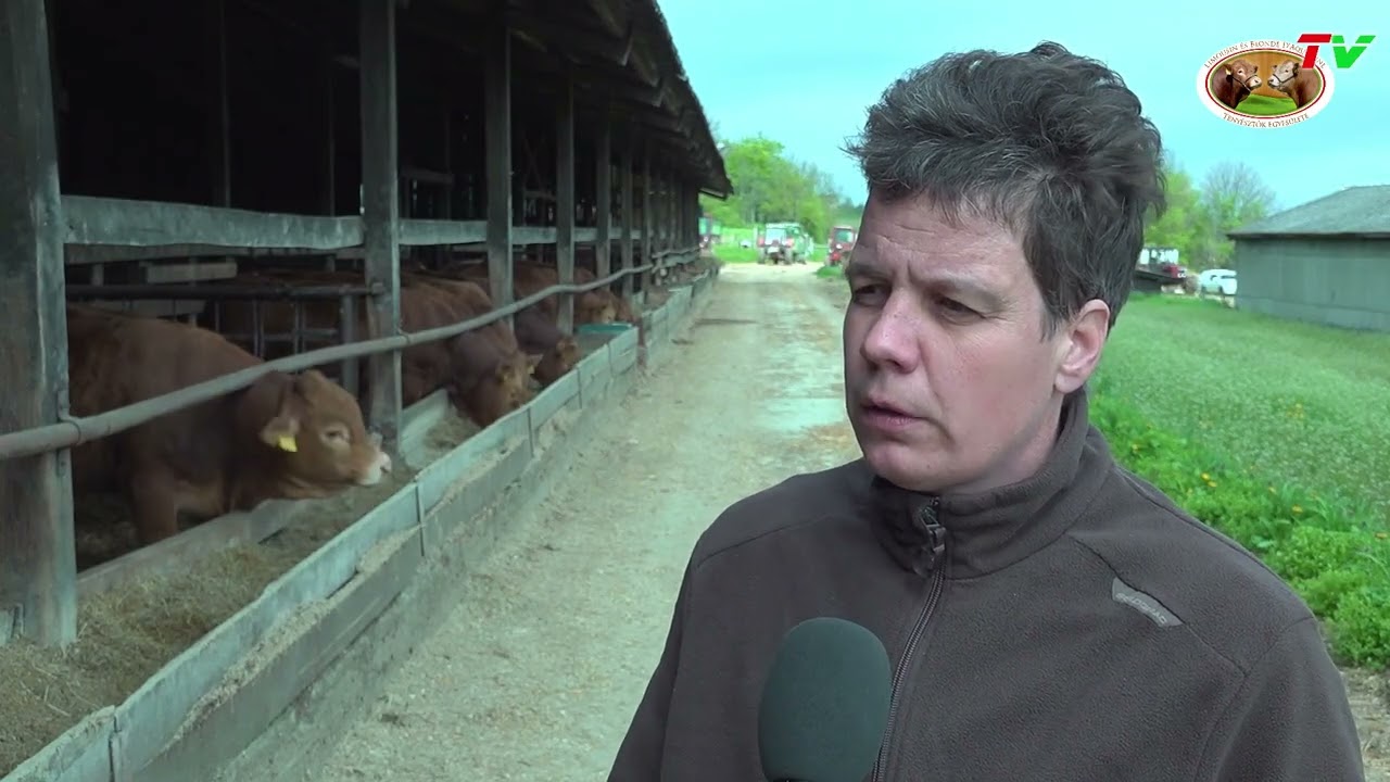 17./2025. Bakony Ho-LI Kft. a TÉLEN-NYÁRON LIMOUSIN műsorban