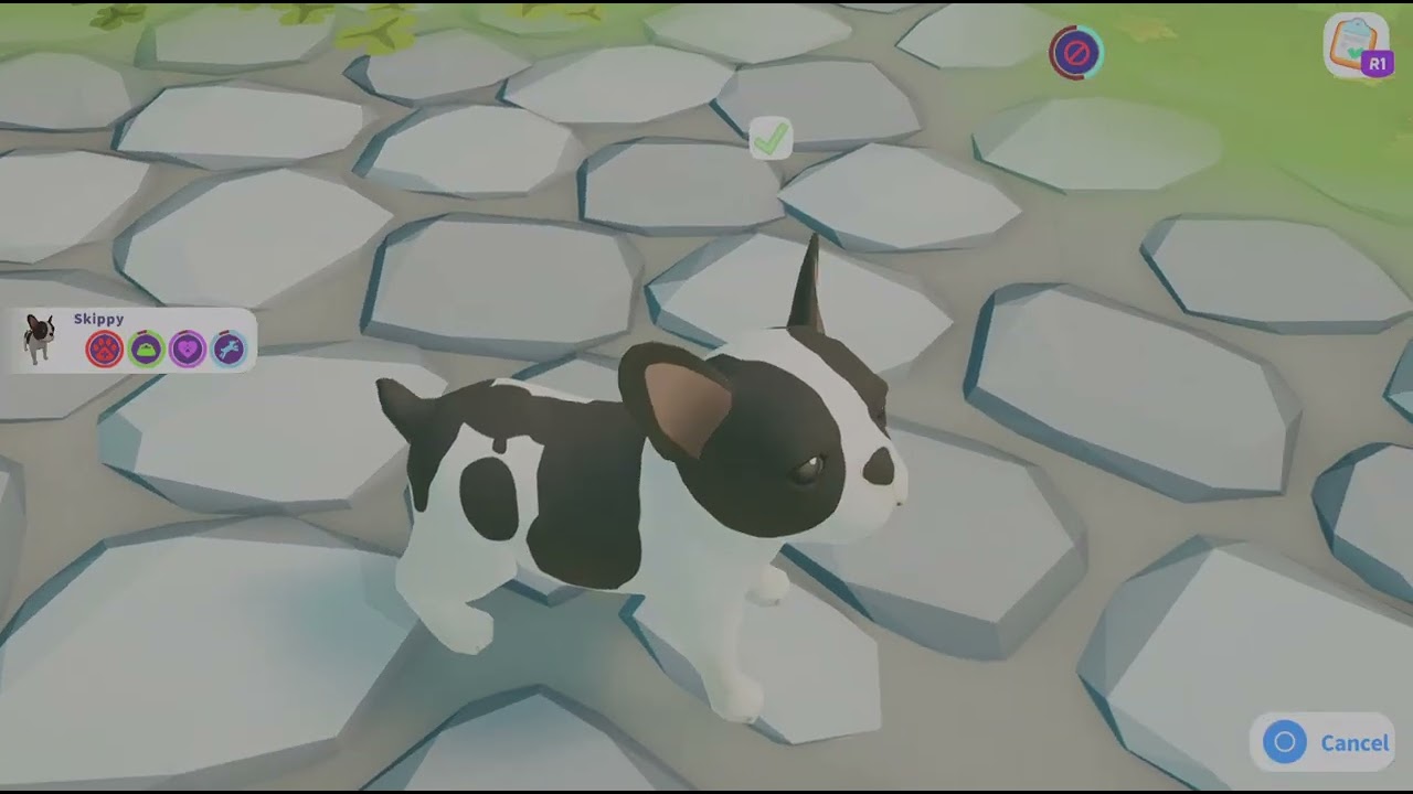 Cute Puppy Academy my first Academy