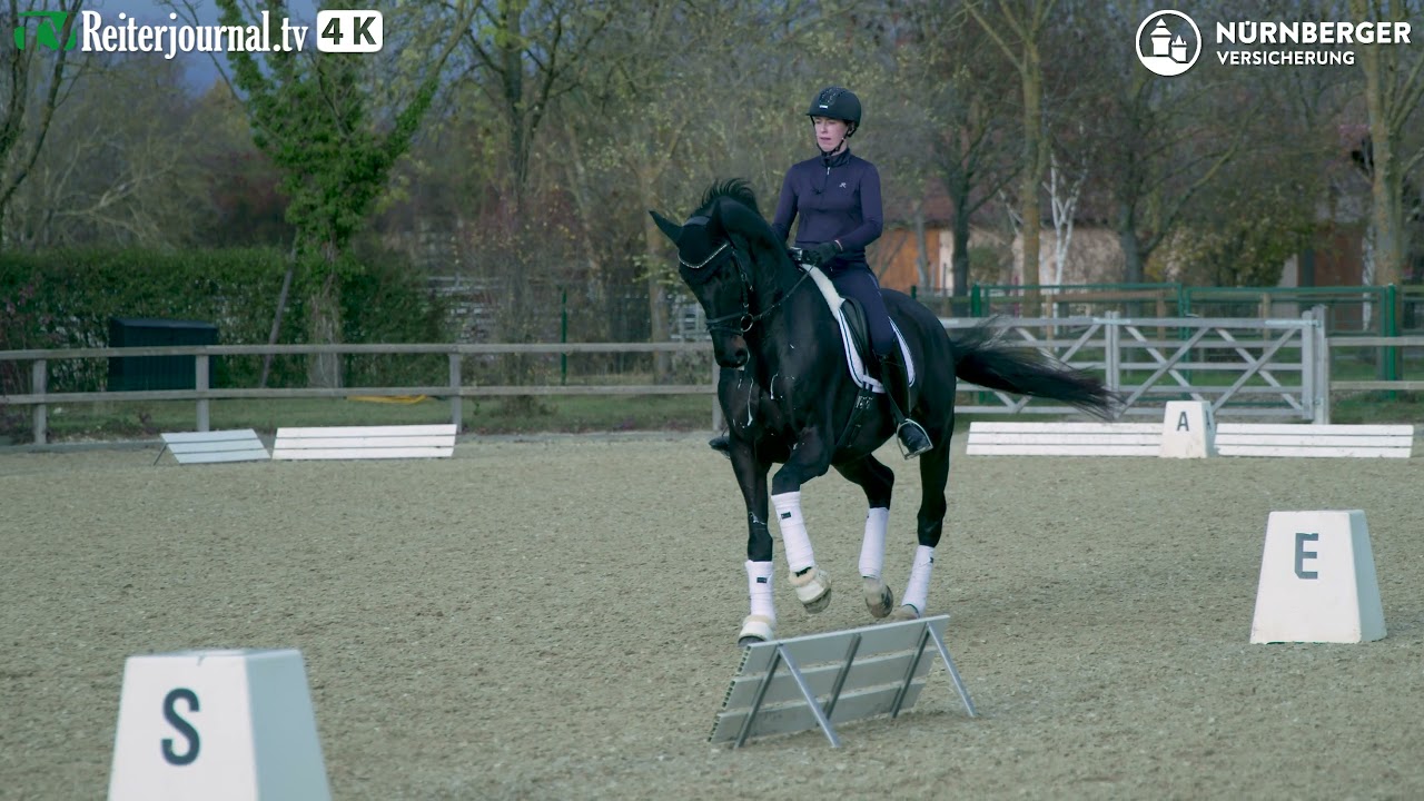 Richtig Reiten mit Dorothee Schneider Teil 1 – präsentiert von der NÜRNBERGER Versicherung