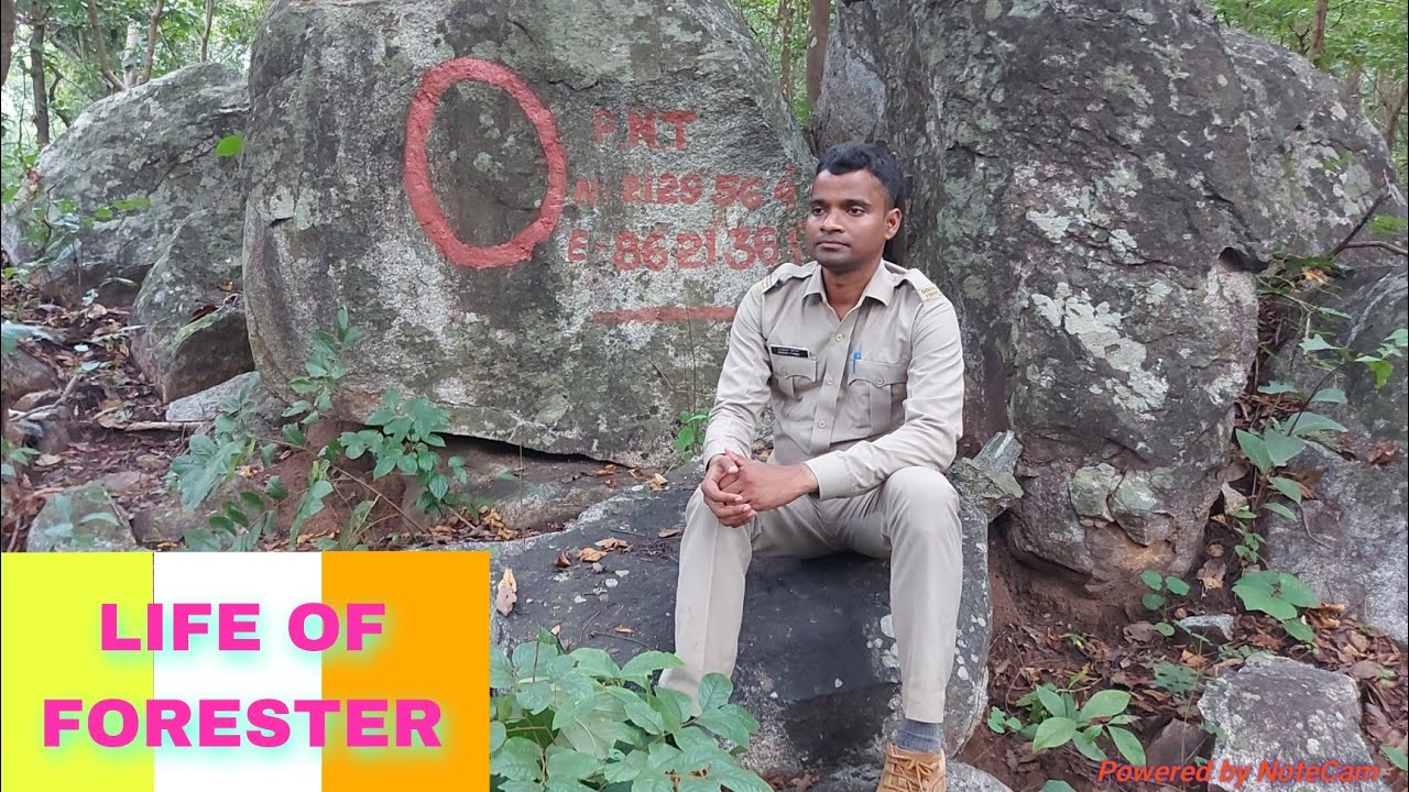 LIFE OF FORESTER / Similipal Tiger Reserve / Similipal national park@Nareshkumarofficial