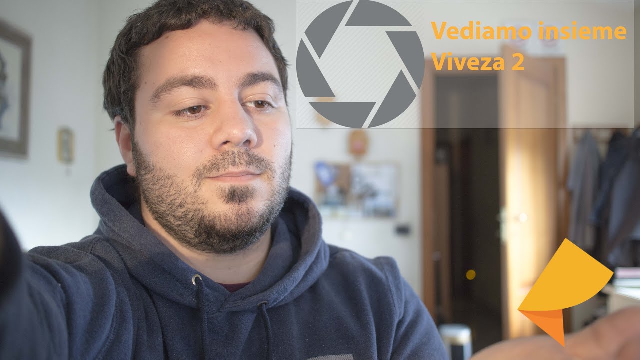 Nik Software Viveza 2