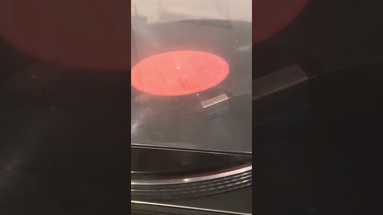 Les Manouches - La Felicidad