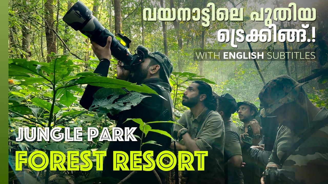 വയനാട്ടിലെ പുതിയ ട്രെക്കിങ്ങ് | Forest Trekking | Wayanad resorts | Jungle Park Resort | 4K UHD