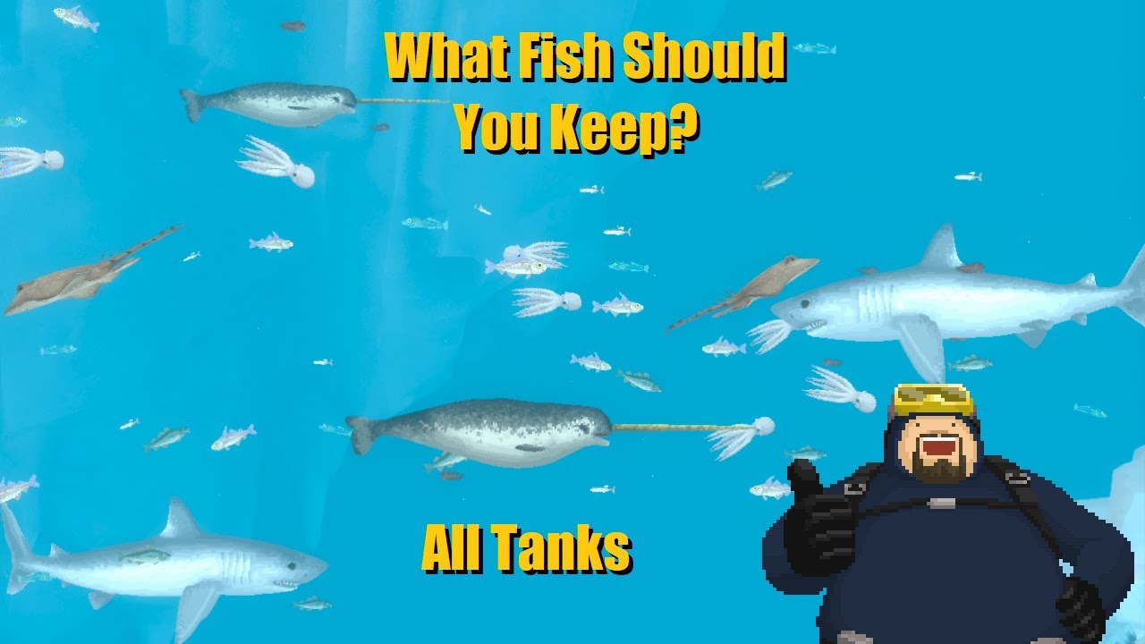 Dave The Diver Fish Farm What Fish To Keep