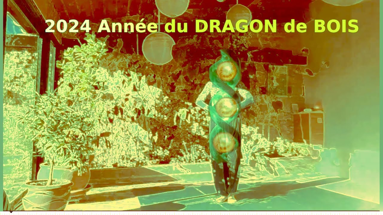 2024 Année du dragon de bois – les 5 éléments – le Point Zéro – Dragon du Hui Chun Gong - Qi Gong