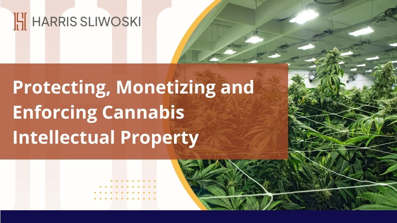 Protecting, Monetizing and Enforcing Cannabis Intellectual Property