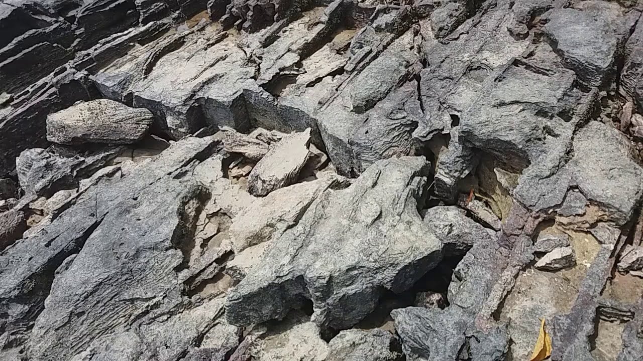 find crab under rock
