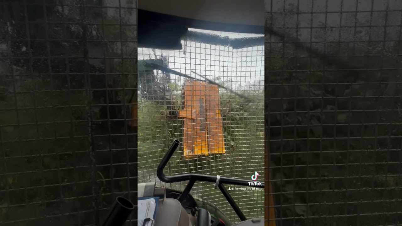 Hedge trimming in a storm #britishfarming #ukagriculture