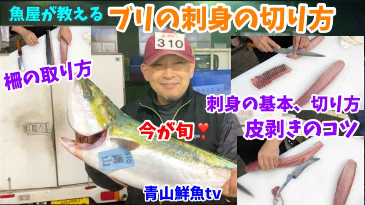 【ブリの刺身の切り方】【柵取り】【皮剥き】魚屋が教えるブリの刺身の切り方🐟