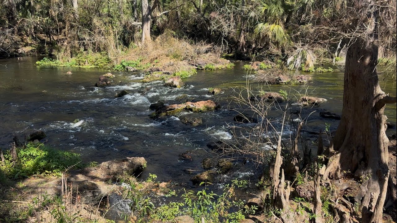 Did you know Florida has River Rapids?! 