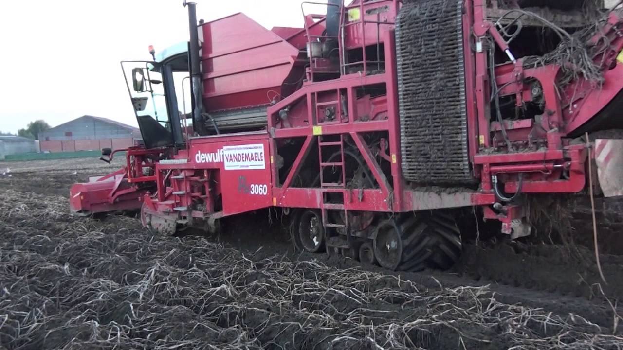 Dewulf RA3060 beats tough conditions