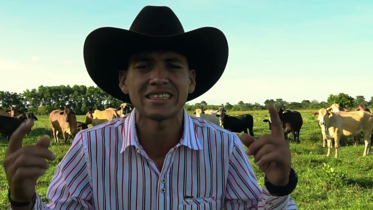 Golpe rompe zuela - Cesar Orellana