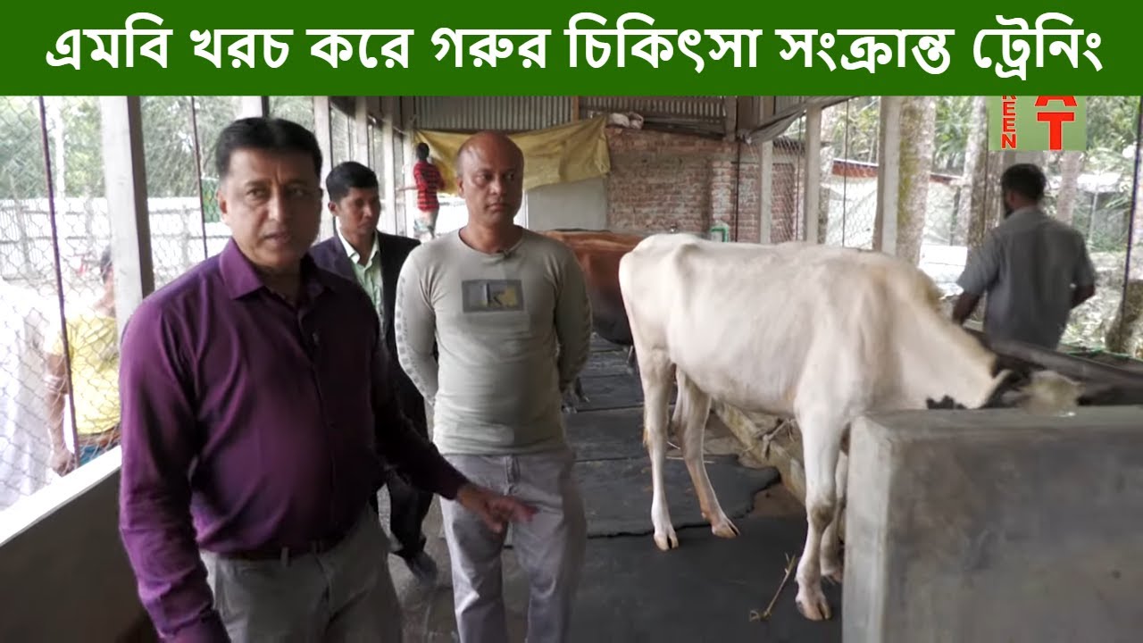 শরিয়াতপুর নাজমুলের গরুর খামারে চিকিৎসা সংক্রান্ত ট্রেনিং | Dr. Mehedi Hasan | Dr. Baizid Moral