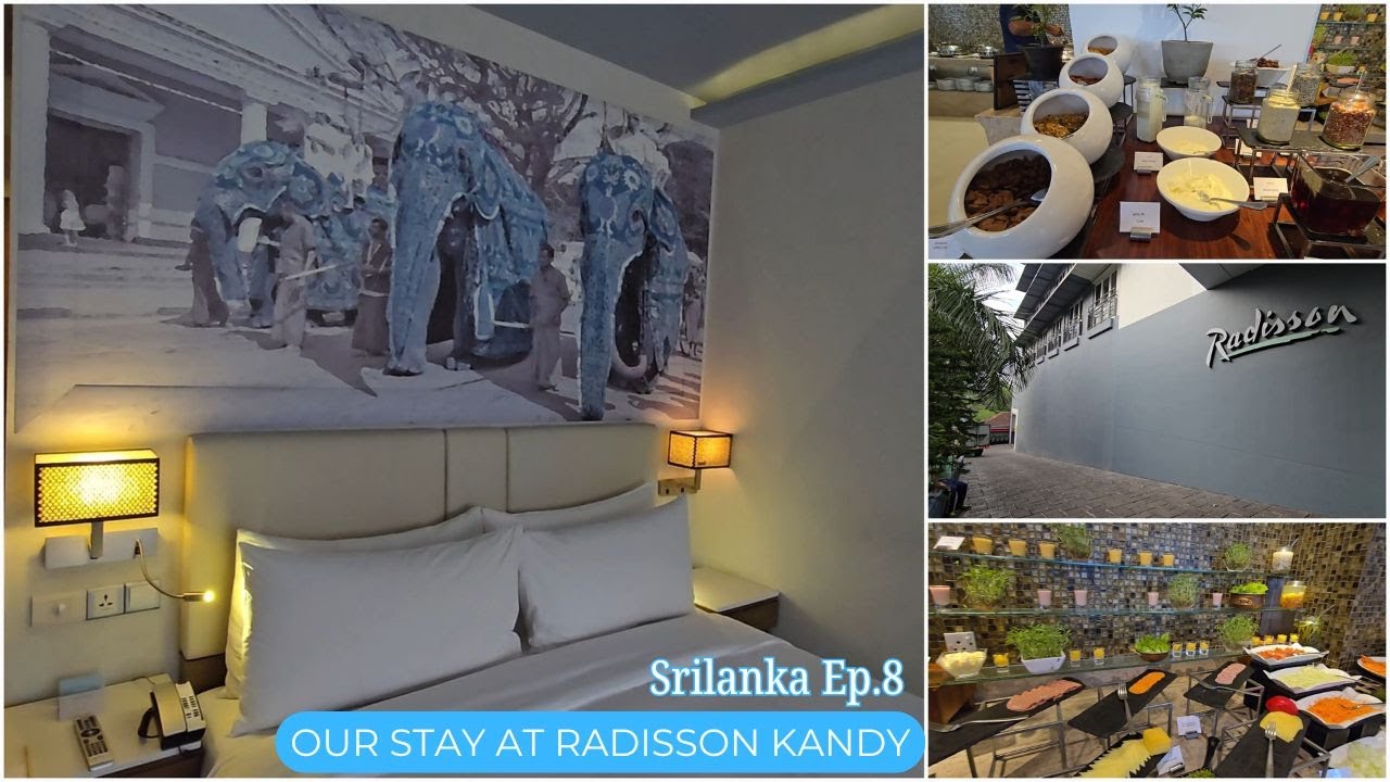 Radisson - Our Stay at Kandy  SriLanka | 4 Star Hotel Review | Best Stay in Kandy | Srilanka Ep.8