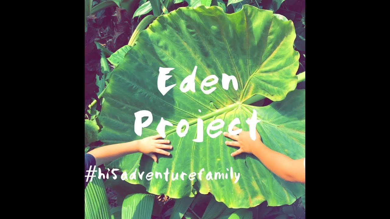 Eden Project ... Eden Project with kids .... Cornwall with kids ... England with kids