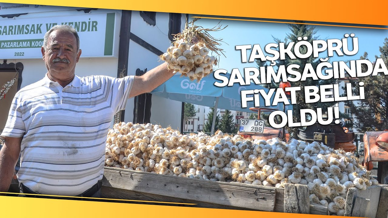 Taşköprü Sarımsağı Bu Yıl Üreticisinin Yüzünü Güldürüyor