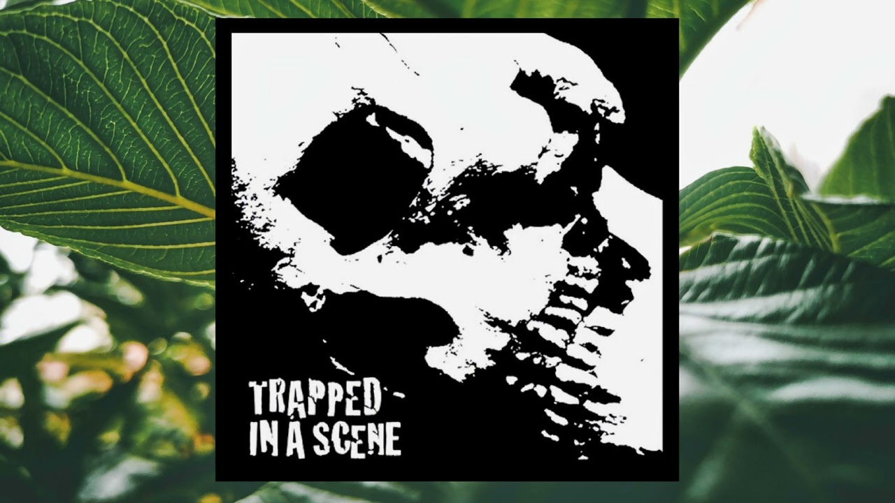 Trapped In A Scene - Comp. (Full Album | 2007 | Hardcore/Grindcore/Punk)