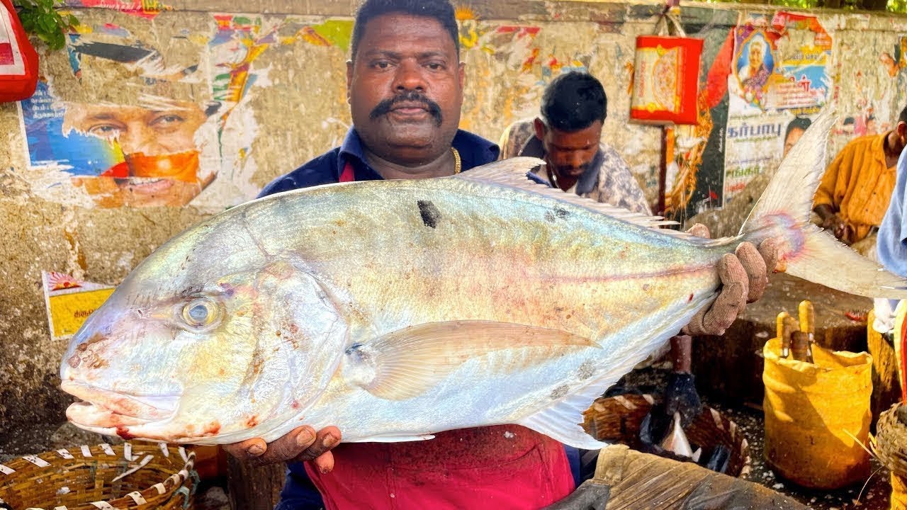 KASIMEDU🔥SPEED SELVAM YELLOW TREVALLY CUTTING🔥IN KASIMEDU FISH CUTTING🔥