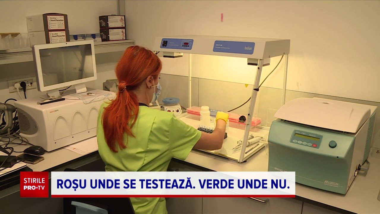 Diferențe uriașe de testare între județe. Unele fac 2.000 de teste pe zi, altele - doar 8