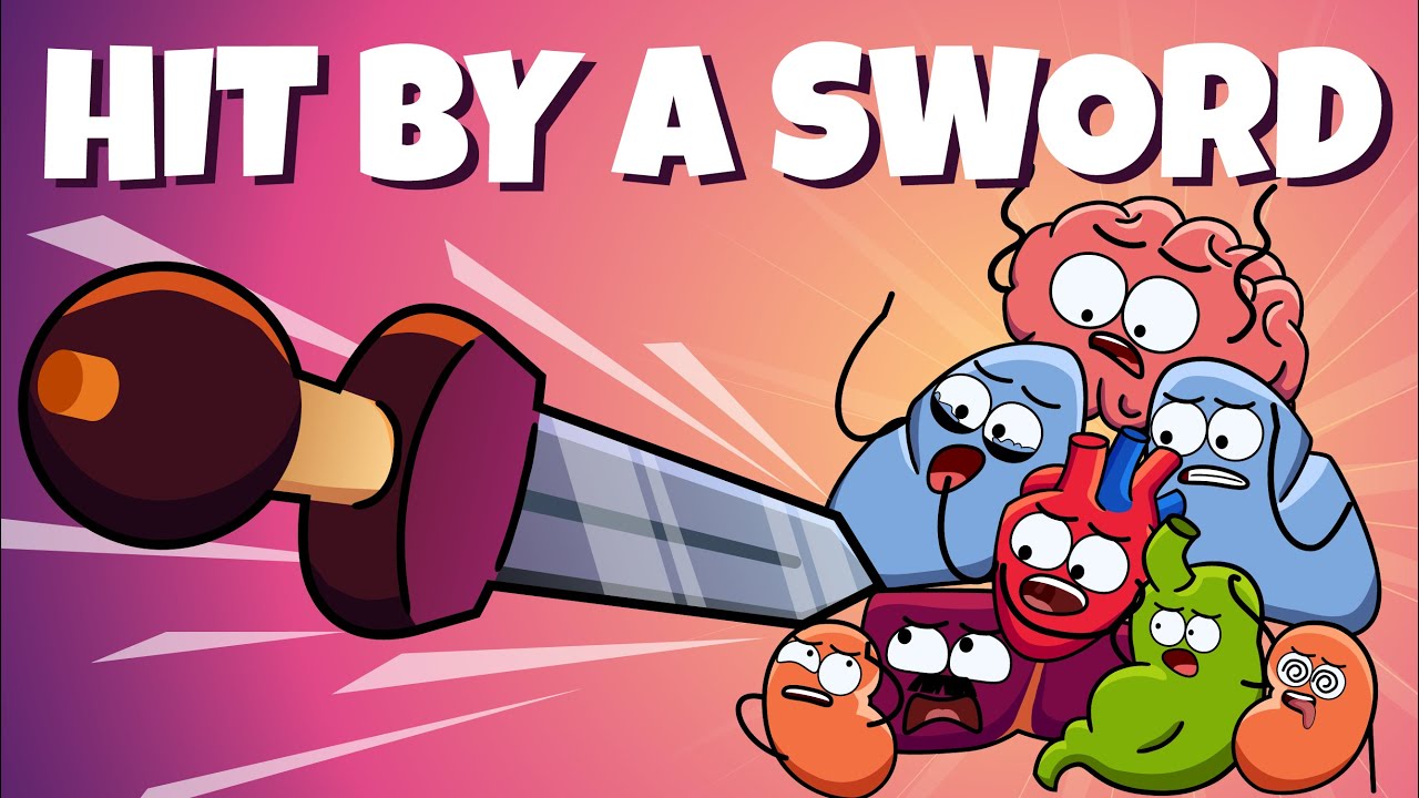 Your Organs When You're HIT By Sword | Organismo
