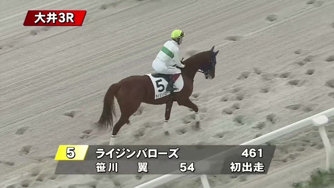 2頭立ての本馬場入場