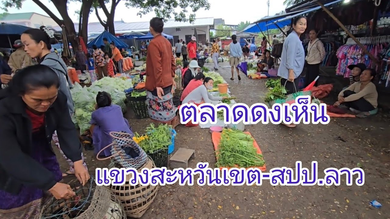 #เที่ยวลาว ตลาดเช้าดงเห็น #อาหารพื้นบ้าน ตามฤดูกาล #บรรยากาศ ดูเงียบๆ#สาวลาว #สะหวันนะเขต #สปปลาว