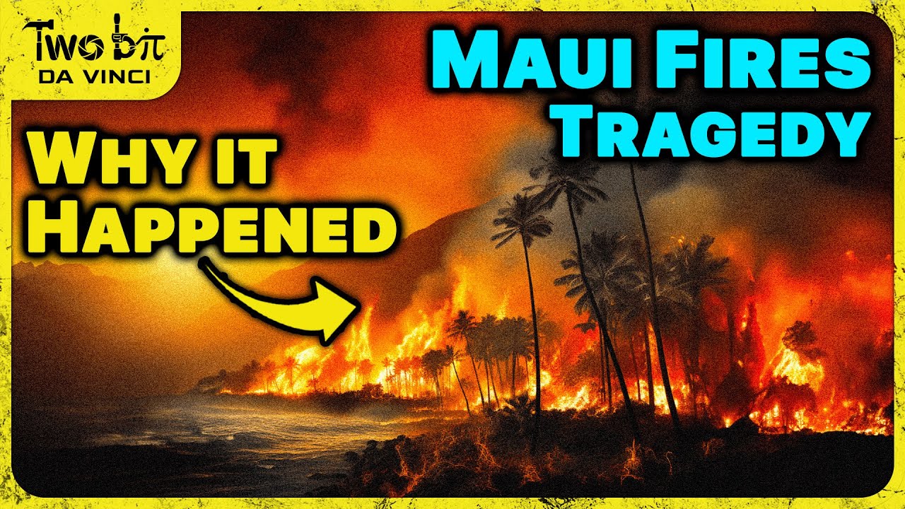 The Maui Fires - REAL Reason They Happened