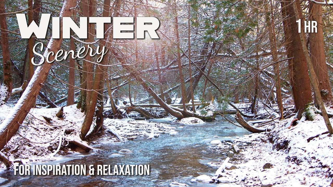 Beautiful Winter Scenery | Flowing River for Inspiration & Relaxation | 1 Hour in 4K