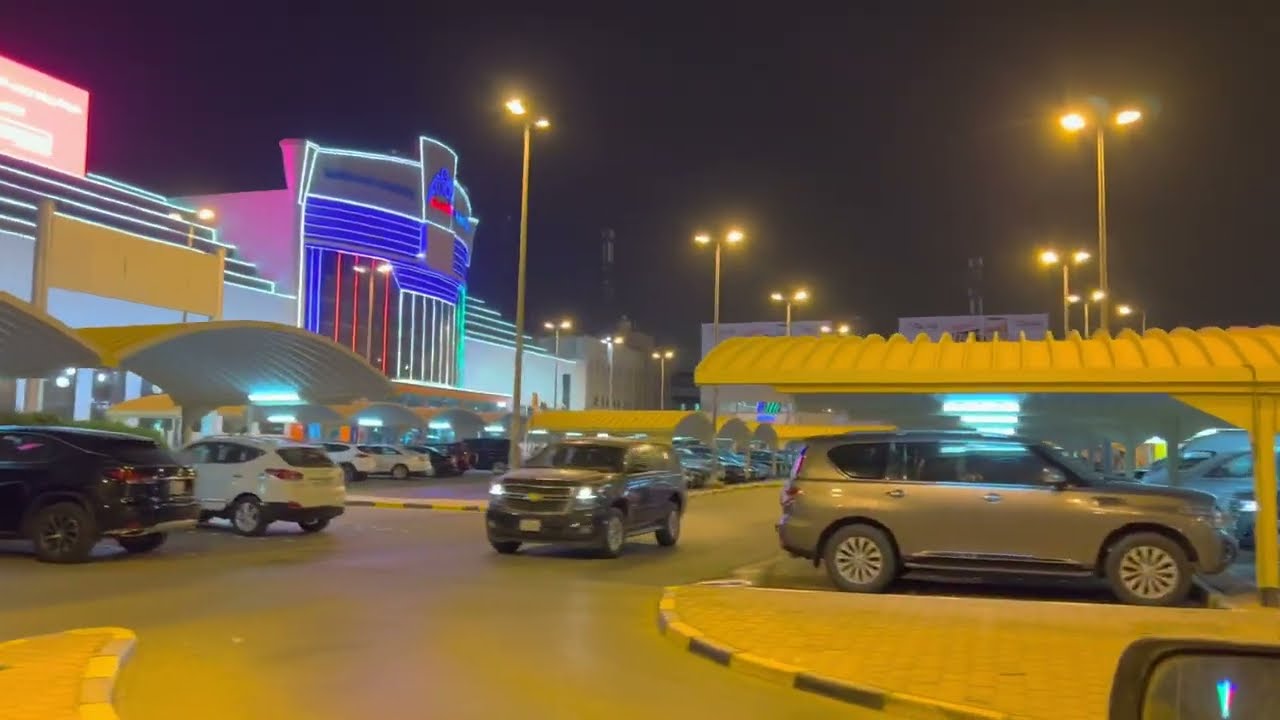 #الكويت #kuwait جمعية القادسية #الابل في براري السفانية #kuwait Qadisiyah Society #Camels