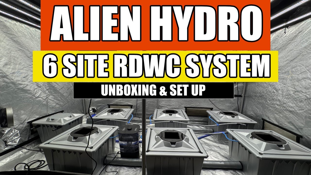 Alien Hydro RDWC 6 Pot System Unboxing and Setup