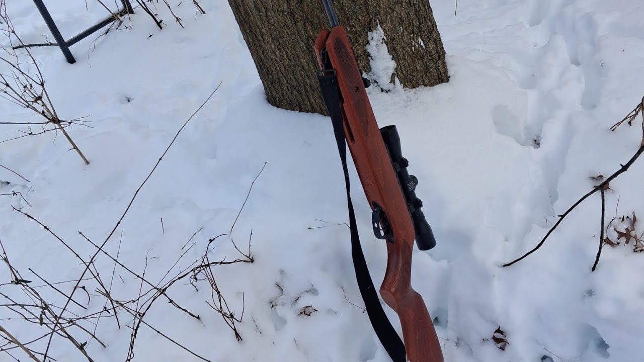 Hunting for squirrels in a foot of snow and -2 degree weather