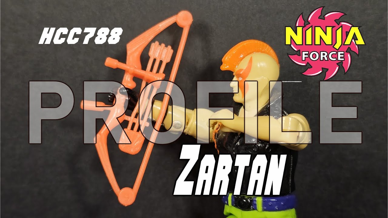 Профиль HC788: Фигурка Ninja Force ZARTAN - G.I. Joe 1993 года!