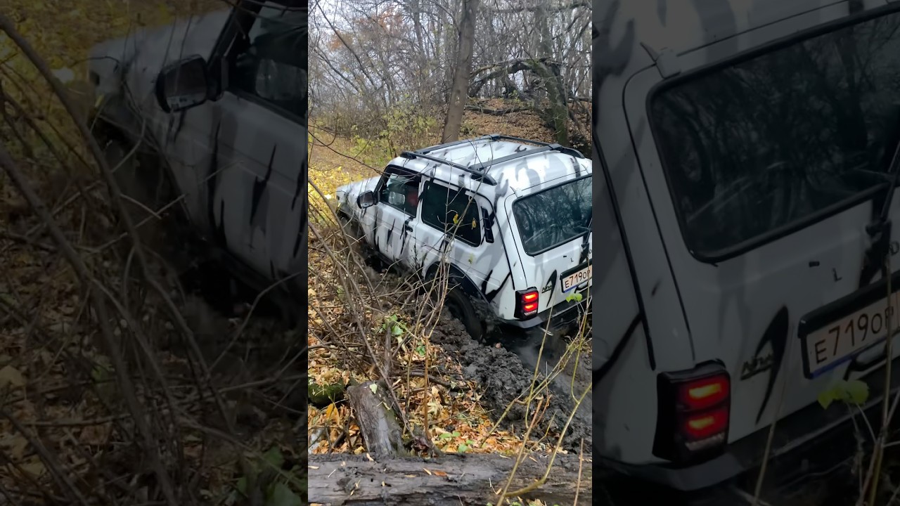 Bronto может? #bronto #automobile #offroad #нива4х4