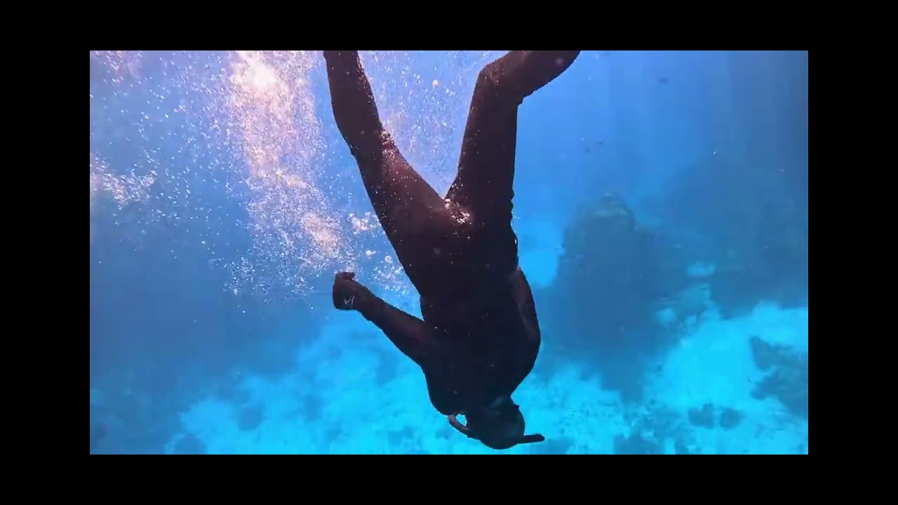 Diving Free Apnea In the Red Sea Marsa Alam 2025