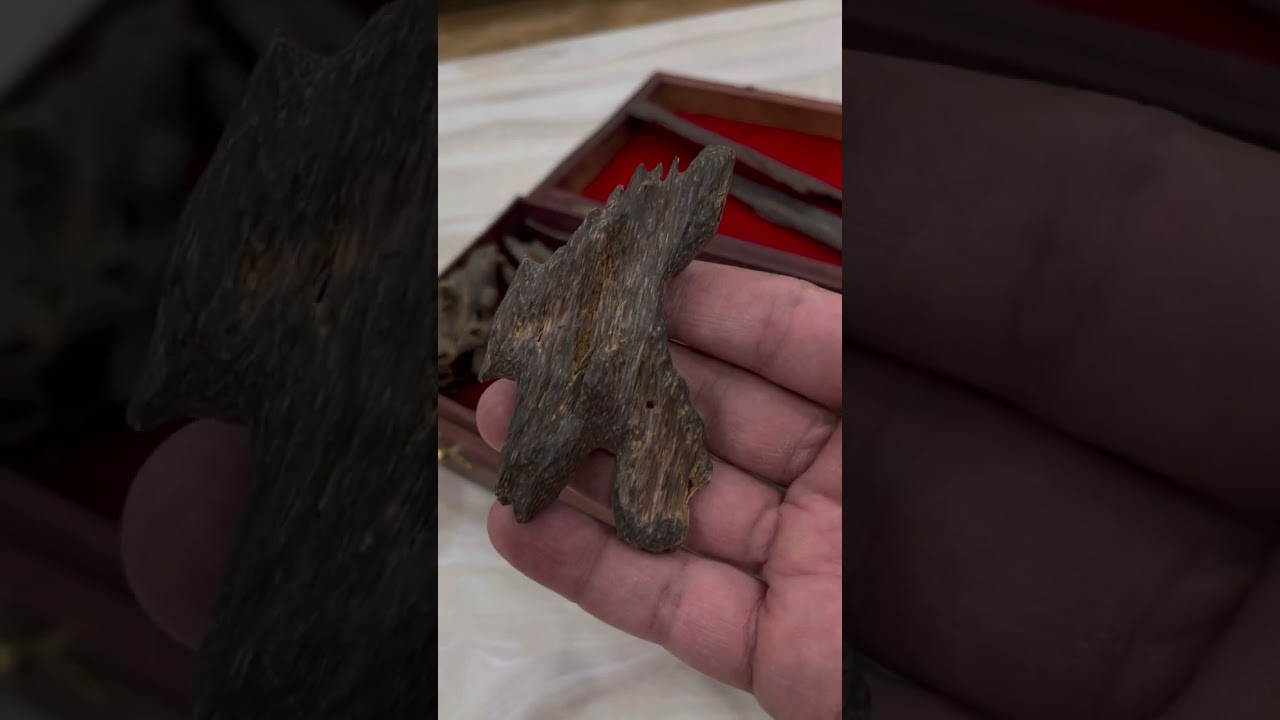 بفضل الله تم البيع عرض واحد مميز جواهر العود الهندي كنج الملكي قديم عبدالله الـعــود ٠٥٦٧٣٩٠٠٨٠
