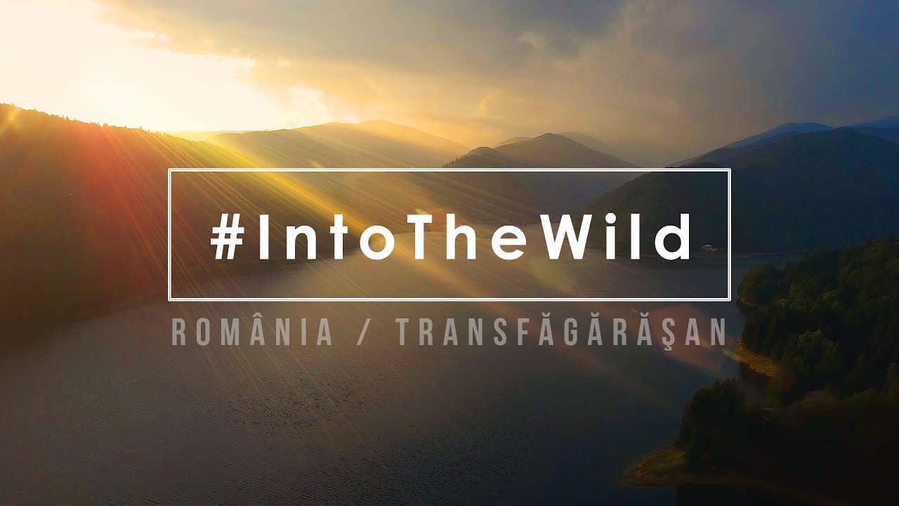 Into The Wild // Transfăgărăşan // Romania