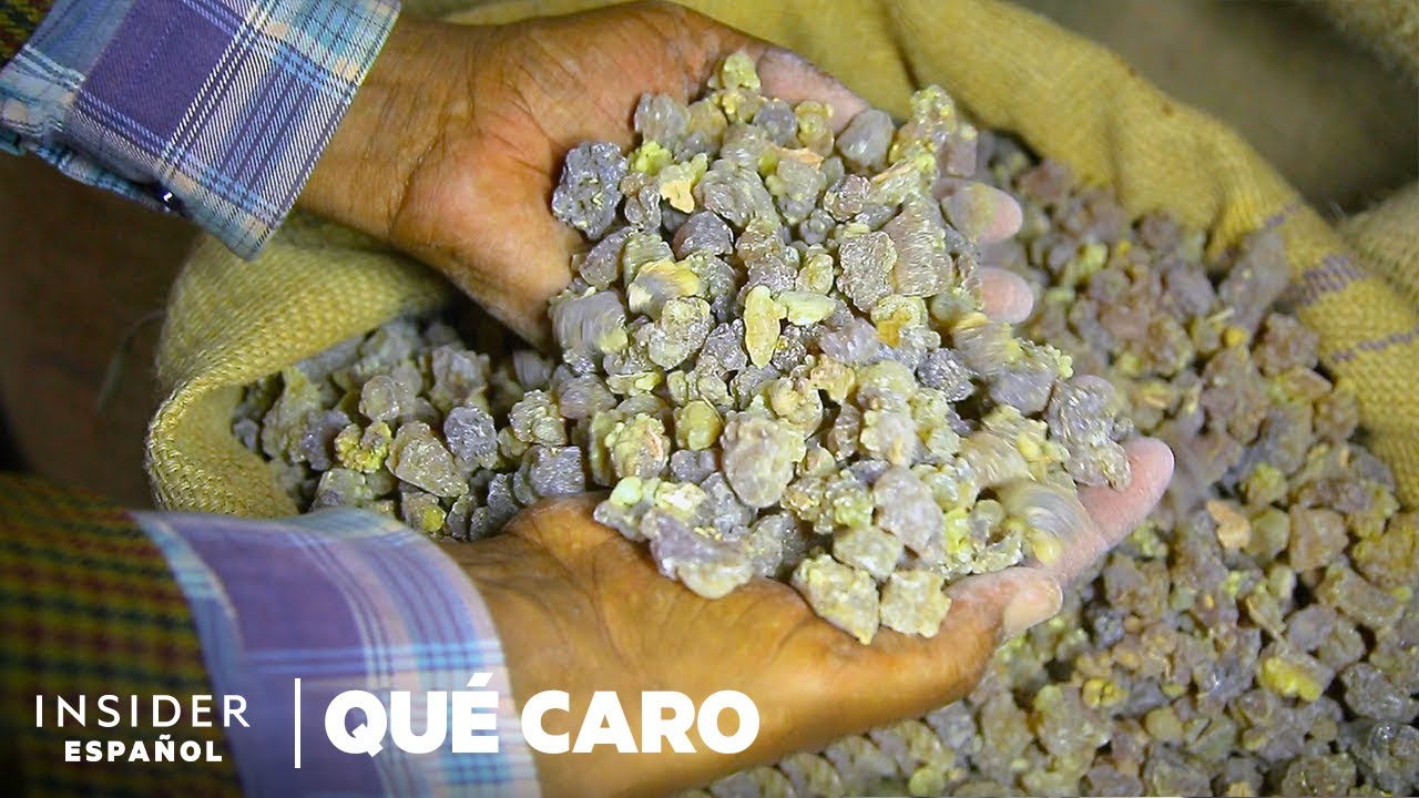 Por qu&eacute; el ol&iacute;bano y la mirra son tan caros | Qu&eacute; caro