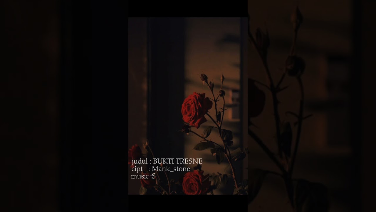 BUKTI TRESNE - MANK_STONE